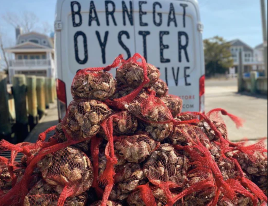 Barnegat Oyster Collective