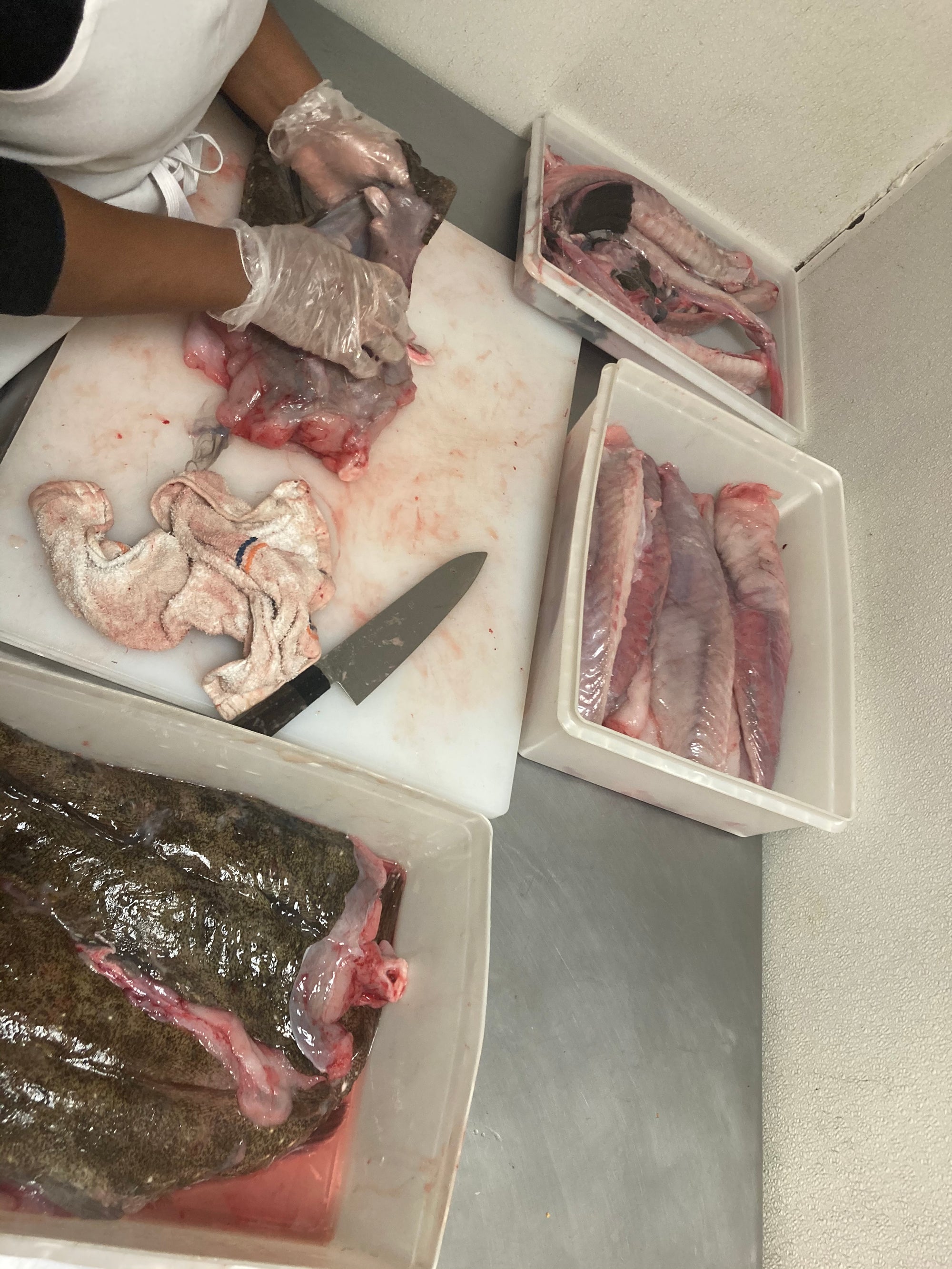 Gloved hands filleting and skinning monkfish in The People’s Kitchen