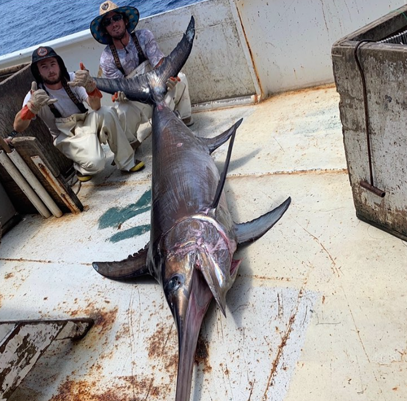 Swordfish caught by Viking Village fishermen
