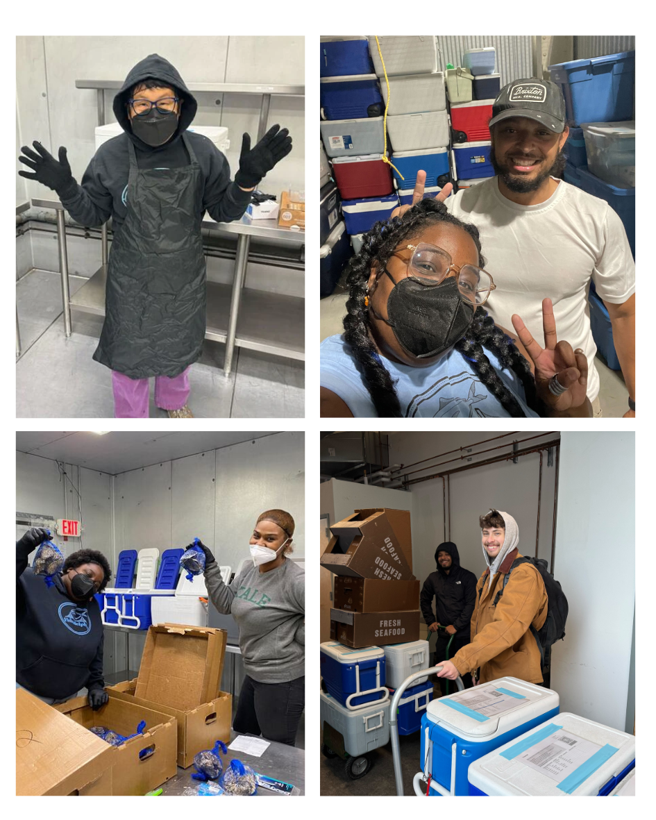 Summer 2025 Newsletter