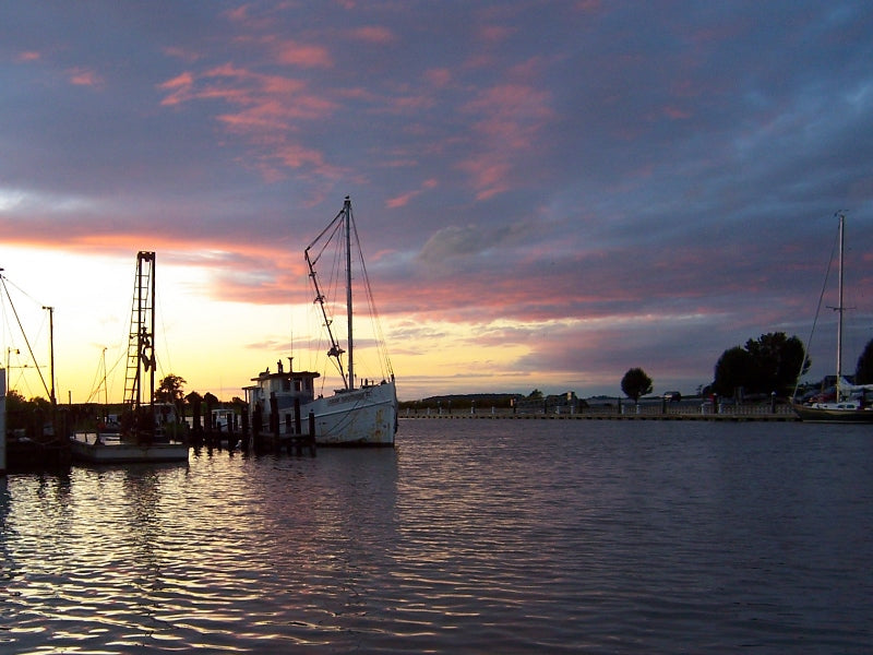 Climate, Fisheries, and Food Cultures: Beyond the Fish