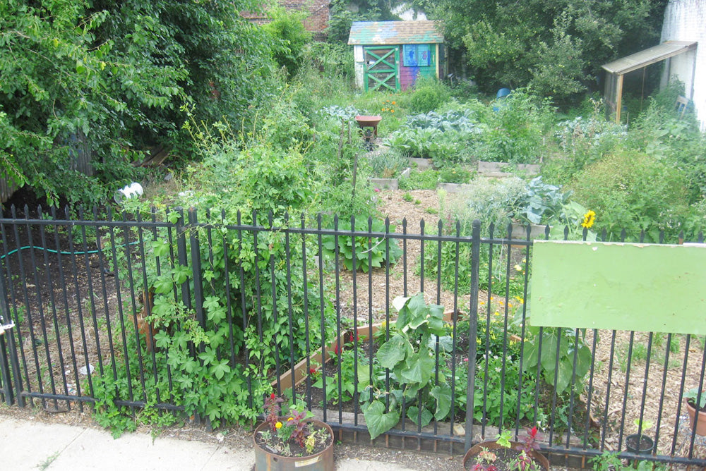 Shell Recycling with Pentridge Children's Garden
